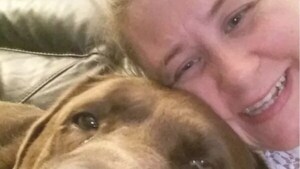 Murió después de ser mordida por dos rotweiller mientras intentaba acariciarlos