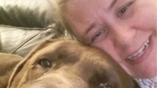 Murió después de ser mordida por dos rotweiller mientras intentaba acariciarlos