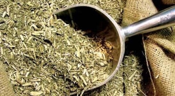 Diario HOY | Sancionan proyecto de protección a pequeños productores de la yerba mate