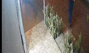 (VIDEO)Chofer Bolt fue víctima de asalto en Hernandarias