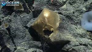 Encuentran un misterioso “huevo dorado” a 3.200 metros de profundidad: ¡¿qué es?!