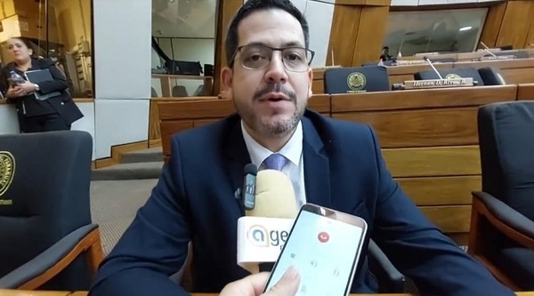 Diputado defiende designación de ministros como consejeros de Itaipú