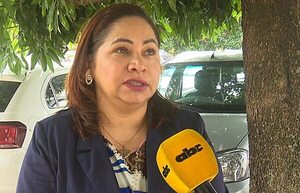 PMT: denuncian intento de coima a un empresario brasileño - Nacionales - ABC Color