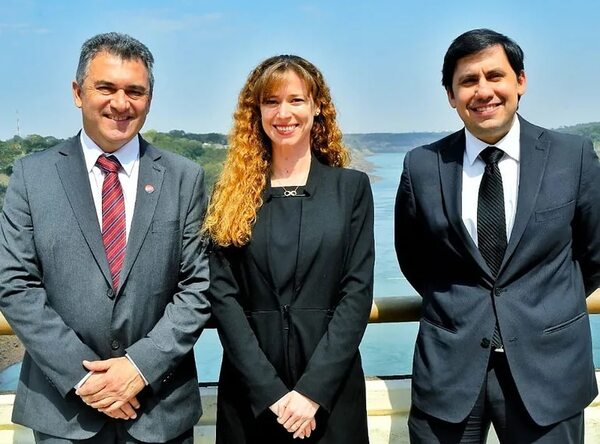 El nivel del debate bajó con ministros brasileños en Consejo, según Blanco - Economía - ABC Color
