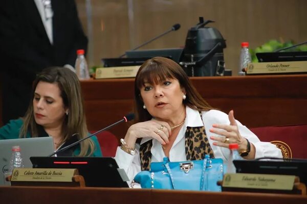 Objetan ley que crea superintendencia de jubilaciones y pensiones - Política - ABC Color