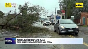 Video: Temporal causó destrozos  - ABC Noticias - ABC Color