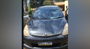 Diario HOY | Hombre fue atropellado cuando intentaba cruzar la ruta