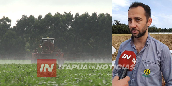 SECTOR PRODUCTIVO CON ESPERANZAS DE RECUPERACIÓN EN LA ZAFRA SOJERA - Itapúa Noticias
