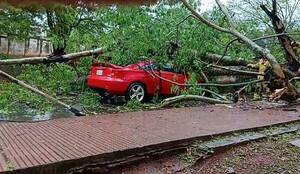 “Por suerte puedo contar la historia”: karai iba manejando y ¡cayó un árbol sobre su auto!
