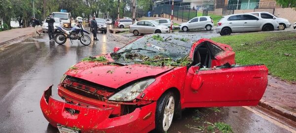 Frondoso árbol cayó sobre un automóvil en Ciudad del Este - ABC en el Este - ABC Color