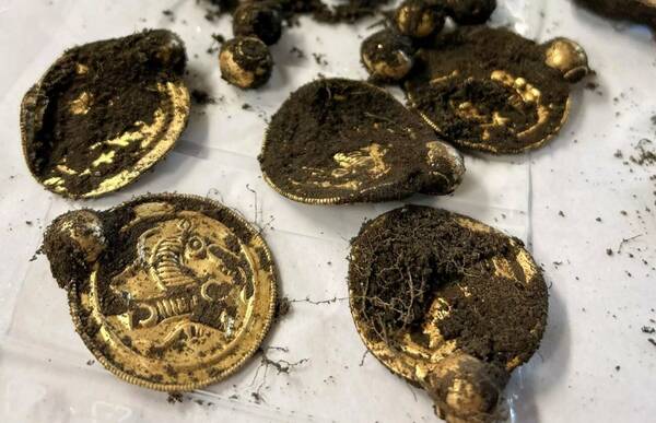 Se compró un aparatito para hacer ejercicio y encontró joyas de hace 1.500 años