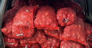 Diario HOY | Paraguayos caen en Brasil con 3 toneladas de cebolla de contrabando