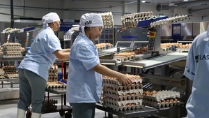 Diario HOY | Nutrihuevos se consolida en el mercado con sus más de 15.000 clientes