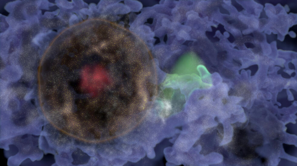 Diario HOY | Hallan una "burbuja de galaxias" originada en los albores del universo