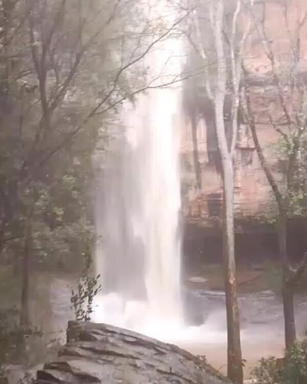 (VIDEO)Celebran que “Salto Suizo” recuperó su fuerza tras las lluvias