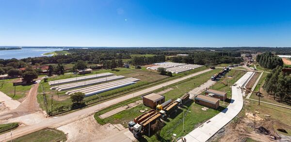Agroindustrias piden políticas públicas claras para crecer