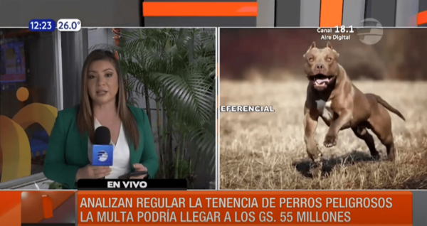 Pretenden controlar la tenencia de perros peligrosos | Telefuturo