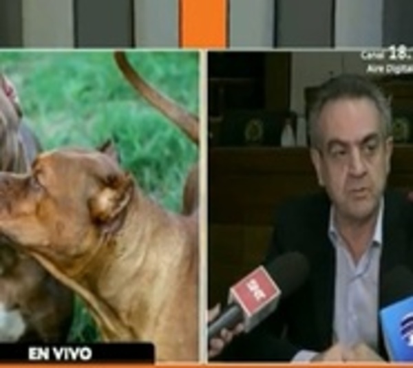 Pretenden regular tenencia de razas caninas peligrosas - Paraguay.com