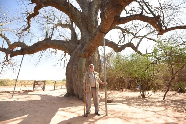 Colosos de la Tierra: así son los árboles más grandes del Chaco Paraguayo - Viajes - ABC Color