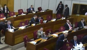 Cartismo busca unificar bloques en la Cámara de Senadores, pese a fuerte  disputa interna - Política - ABC Color