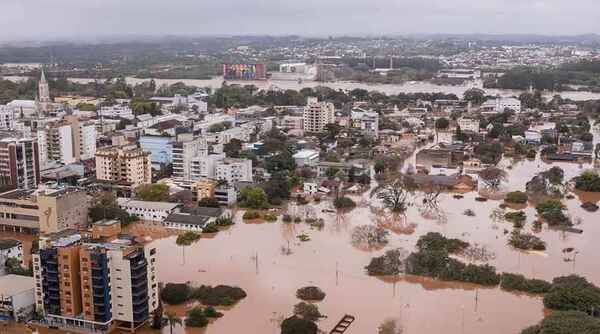 Las inundaciones en Brasil provocaron la muerte de casi 30 mil animales