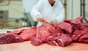 Se vuelve a reducir el precio global de la carne en agosto, según el Índice de la FAO