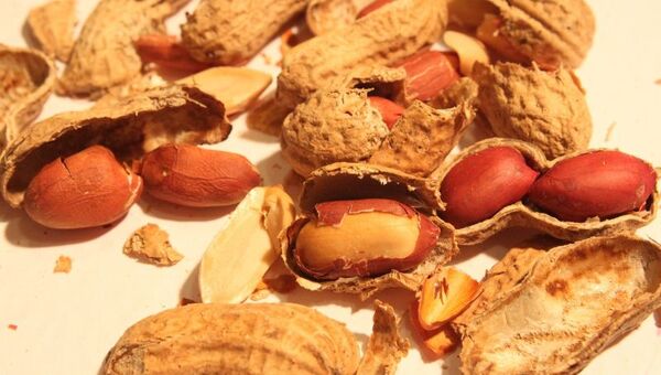 Más oro del Chaco: maní paraguayo se convierte en premium (se exporta a Europa)