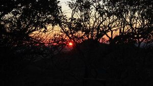 Inicio de semana con clima caluroso y más de 40°C en el Chaco