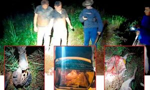 Capturan en flagrancia a dos cuatreros en el Km 18 Acaray de Minga Guazú – Diario TNPRESS