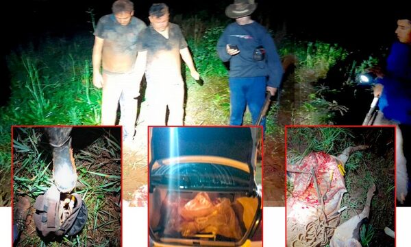 Capturan en flagrancia a dos cuatreros en el Km 18 Acaray de Minga Guazú – Diario TNPRESS