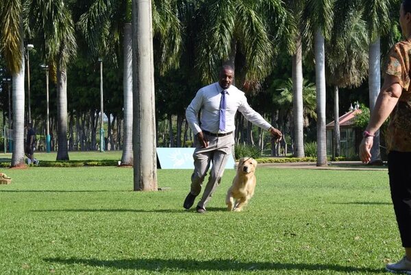 El Paraguay Kennel Club presentó la exposición internacional canina - Mascotas - ABC Color