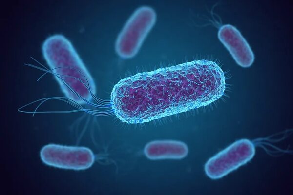 Científicos logran triplicar la capacidad de la bacteria E.coli para producir electricidad - Ciencia - ABC Color
