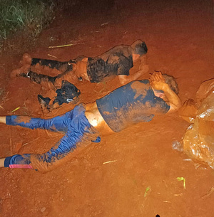 Casi linchan a dos cuatreros en plena faena de un toro - La Clave