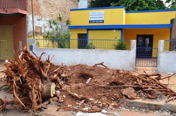 Tronco abandonado en céntrica vereda de Luque •