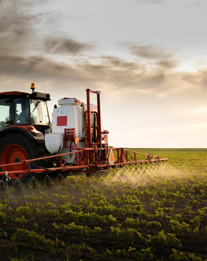 La economía seguirá sosteniéndose por varias décadas con la producción del campo, afirman