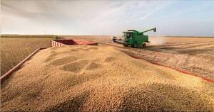 La Nación / Precios de commodities agrícolas muestran comportamiento a la baja