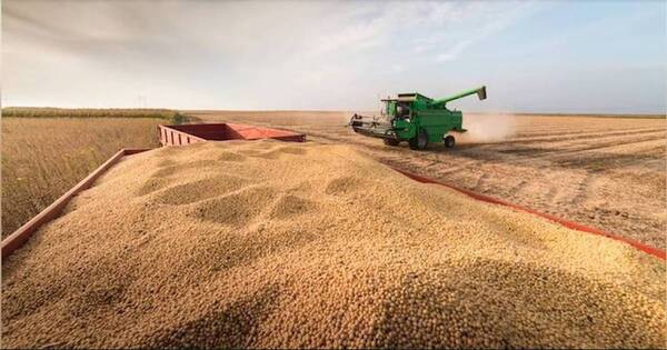 La Nación / Precios de commodities agrícolas muestran comportamiento a la baja