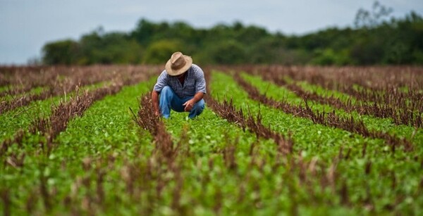 En julio, la variación acumulada de la economía fue del 6,5%