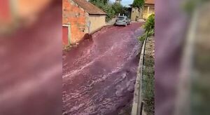 Portugal: dos millones de litros de vino inundaron las calles de un pueblo - Unicanal