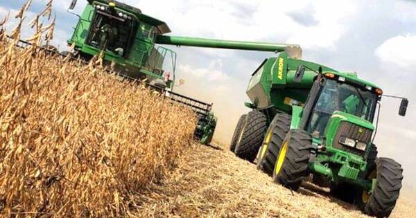 La Nación / Actividad económica acumula 6,5 % de expansión en el año