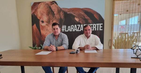 La genética bovina tomará el escenario en nueva exposición de la Brangus Paraguay