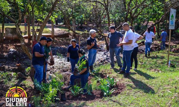 Intendente de CDE motiva a los estudiantes en recuperación de vitales nacientes hídricas – Diario TNPRESS