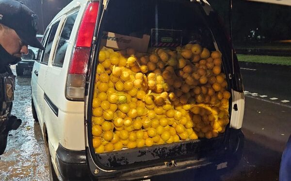 Abren proceso contra conductor de furgoneta que cayó en Km 60 con 1.500 kilos de naranja – Diario TNPRESS