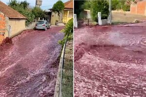 Diario HOY | Video: Explota bodega y derrama 2,2 millones de litros de vino tinto en la calle