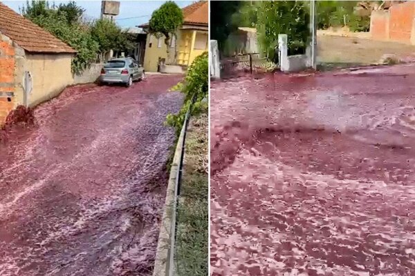 Diario HOY | Video: Explota bodega y derrama 2,2 millones de litros de vino tinto en la calle