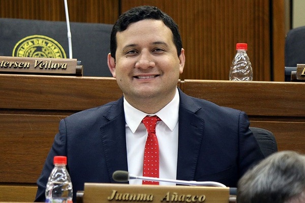 Piden informe a Cancillería con relación a figura de la “adquisición preferente de energía”