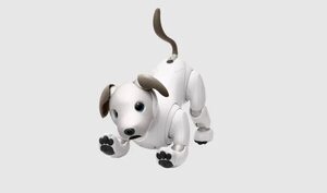 Adoptar perros robots Aibo para  instituciones médicas - Mascotas - ABC Color