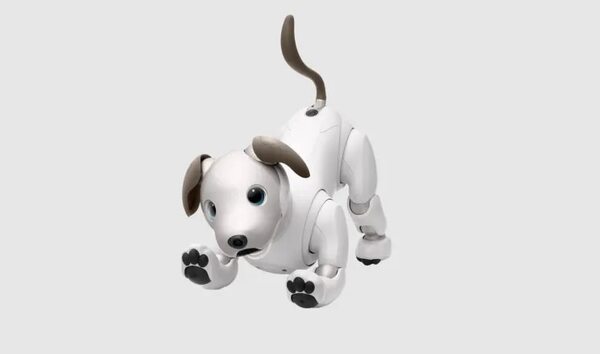 Adoptar perros robots Aibo para instituciones médicas - Mascotas - ABC Color