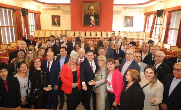 Piden a Cartes potenciar las seccionales con formación política - ADN Digital