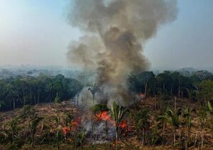 El estado brasileño de Amazonas declara una emergencia ambiental ante los incendios - Mundo - ABC Color